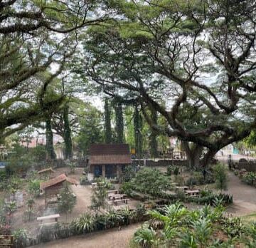 View from De Djawanta forest. Picture : Aldi Santoso