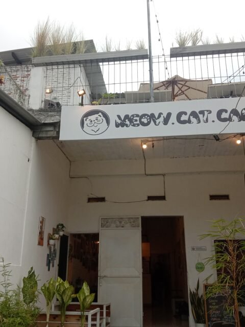 Meow Cat Cafe