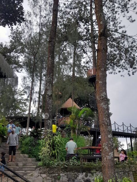 Rumah bunga cafe